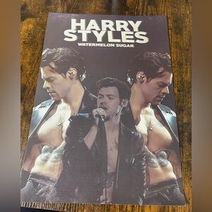 Watermelon Sugar Tour Poster - Black